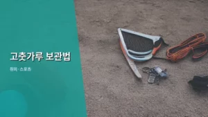 고춧가루, 싱싱함을 오래 유지하는 완벽한 고춧가루 보관법 공개