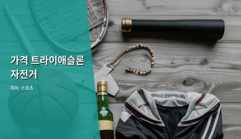 입문자를 위한 가격 트라이애슬론 자전거 선택 가이드