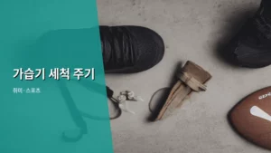 가습기 세척 주기, 놓치면 안 되는 초간단 관리법 A to Z