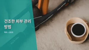속건조 고민 끝! 나에게 맞는 건조한 피부 관리 방법 총정리