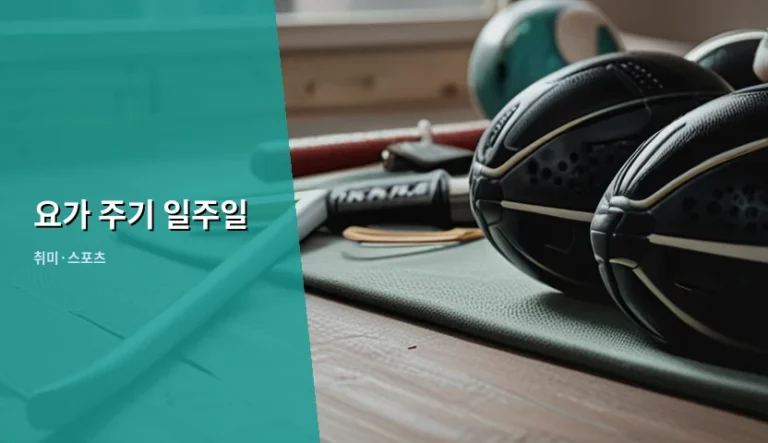 요가 주기 일주일 계획과 신체 변화 가이드